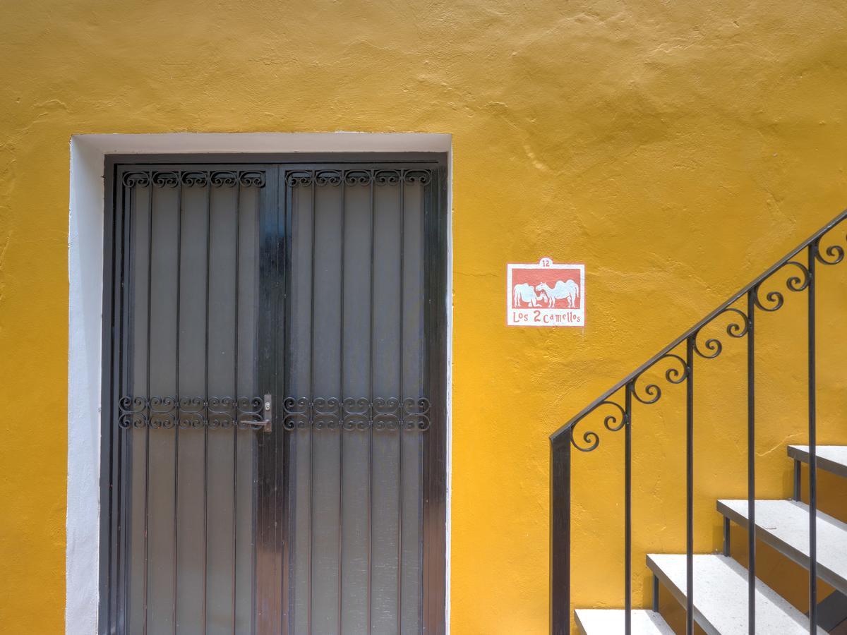 Hotel Luz En Yucatan Mérida Exterior foto